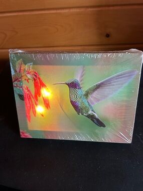 Hummingbird Canvas Wall Art with Lights - Can Hang or Stand